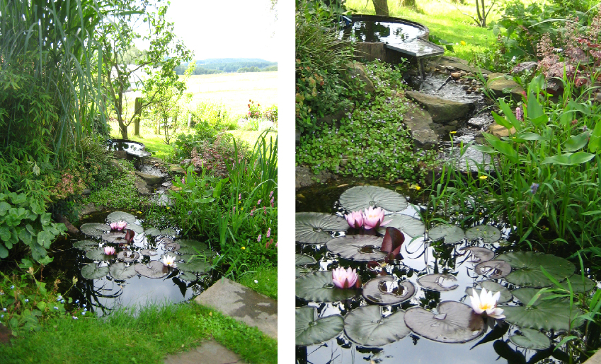 Ländlicher Garten