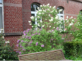 marienhospital