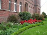 marienhospital