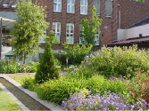 marienhospital
