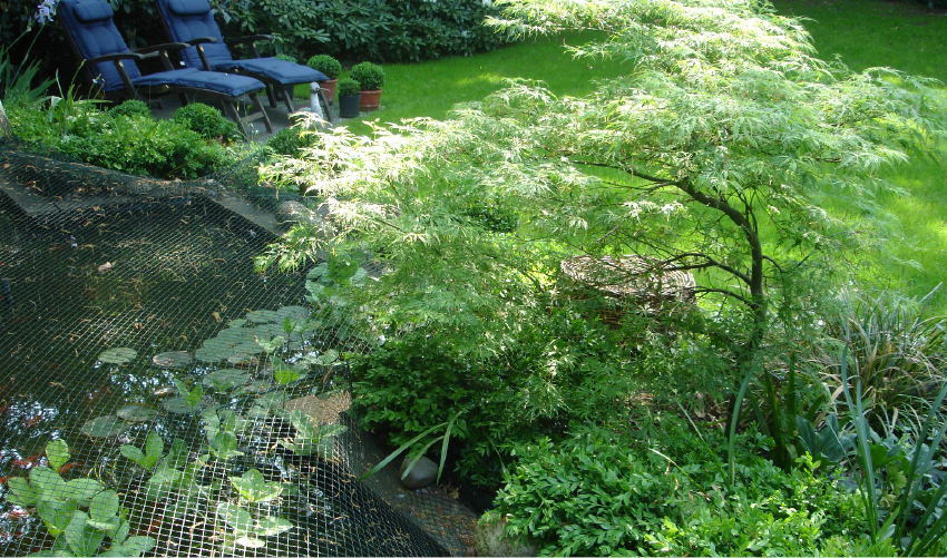 Schattengarten
