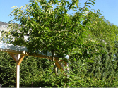 Schulgarten Dhünn