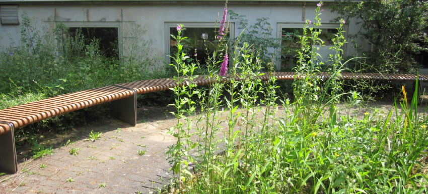 Schulzentrum