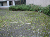 Schulzentrum