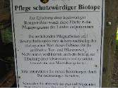 Schulzentrum