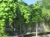 Schulzentrum