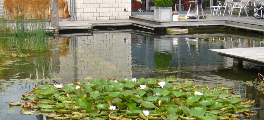 Schwimmteiche